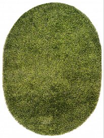  1,702,40 Indien Shaggy Speyder,SR-66 green,oval 19749/27